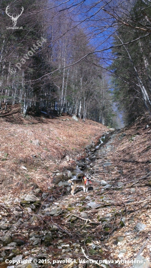 na zhodoch