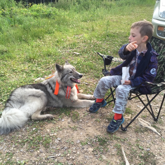 choď pozrieť diviačika:)))