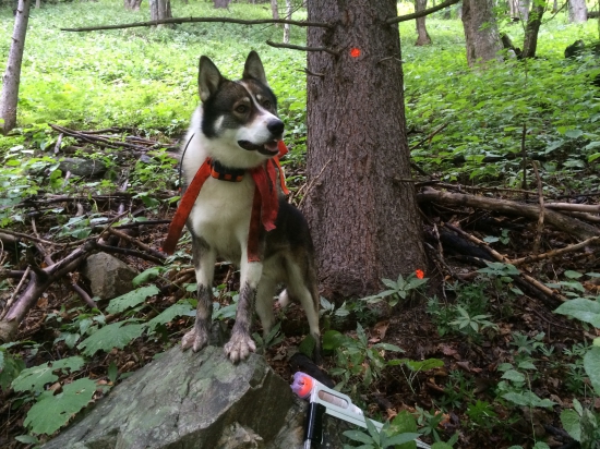 pomoc pri vyznačovaní ťažby