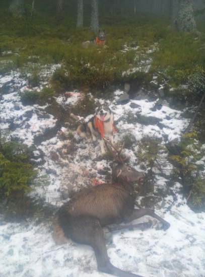 dnešná úspešná dohľadávka