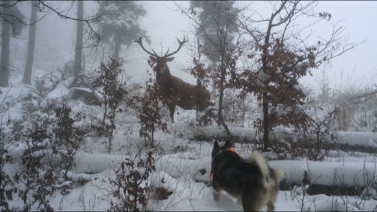 super momentka z dnešnej poľovačky