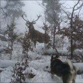 super momentka z dnešnej poľovačky