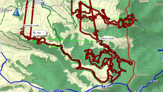 individuálka s lajkou