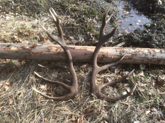 na parádu, dnes v robote