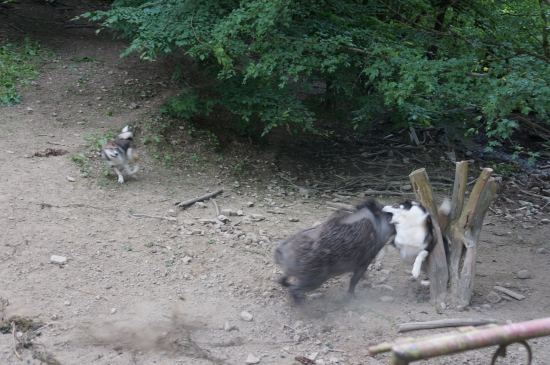 ešte jedna kontaktná :))