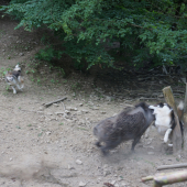 ešte jedna kontaktná :))