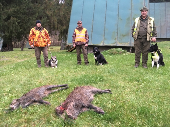 lajky zas nesklamali