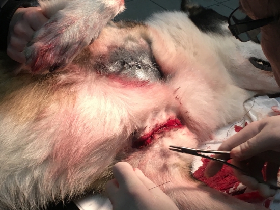 tak dnes na nás šťastie zabudlo