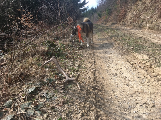 takto sme ich našli