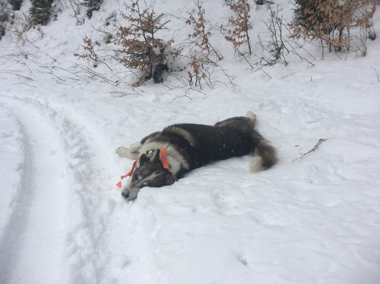 nie ešte, ale už na novom
