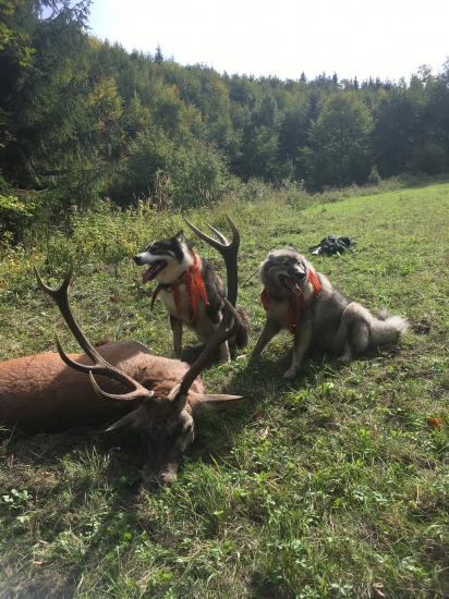 jedna z tých náročných