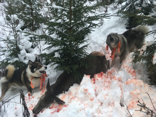 jedna z tých kratších