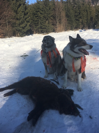 z dneskajšej spoločnej