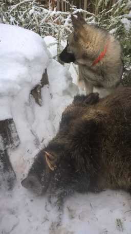 nový kolega začína vo veľkom štýle