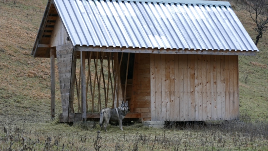 Ked hľadá vysokú :)