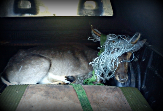 odchitený vlastnými rukami