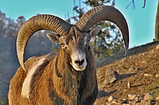 Posledné slnečné luče jesene :D