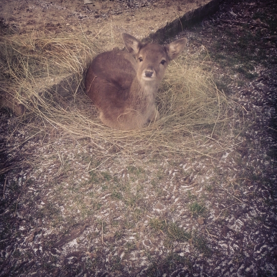 :-D :-D ja som  lola :-D :-D