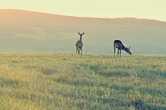 Moment ked sa zastaví dych