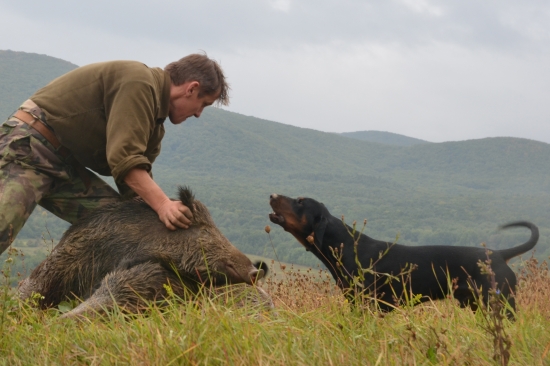 Slovenský kopov v akcií