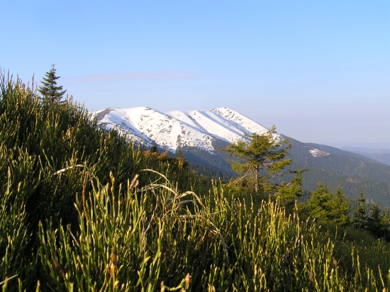 Za rána na prašivej