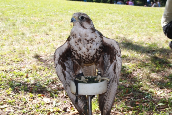 Daj pokoj mám prestávku