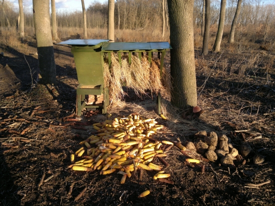 Treba sa starať aj keď neni sneh