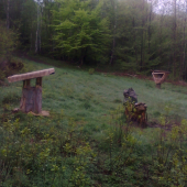 sennik dudlak a vstrede solisko