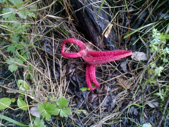 čo to je.............????