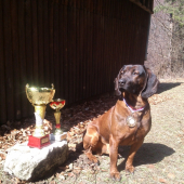 NITRA DOG 2012
