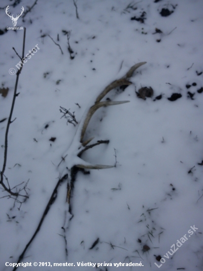 stary ale potesil
