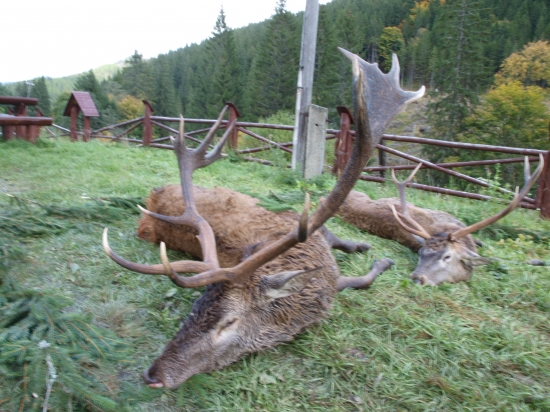 vlani...uvidime tento rok.