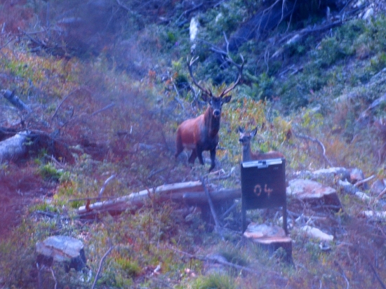 sám si určil vekovú triedu.