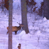 ked´budem mať o 5 rokov viac to budete čumieť!