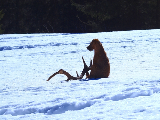 ranná meditácia o smere odchodu majiteľa