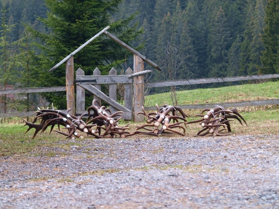ide sa vážiť,merať,bodovať.