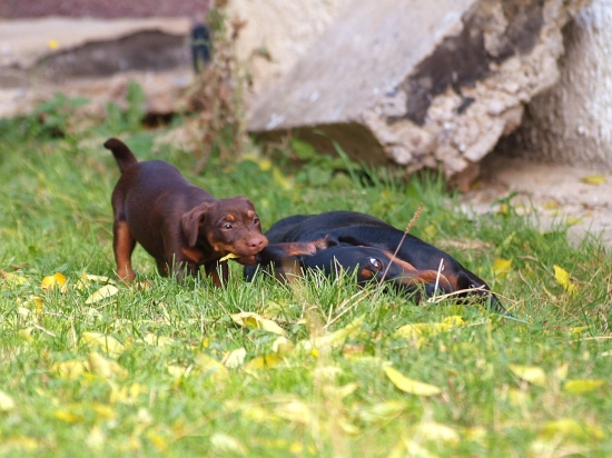 učitelia to zo žiakmi nikdy nemajú ľahké:)