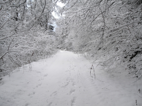 Zima pod Krížovým vrchom