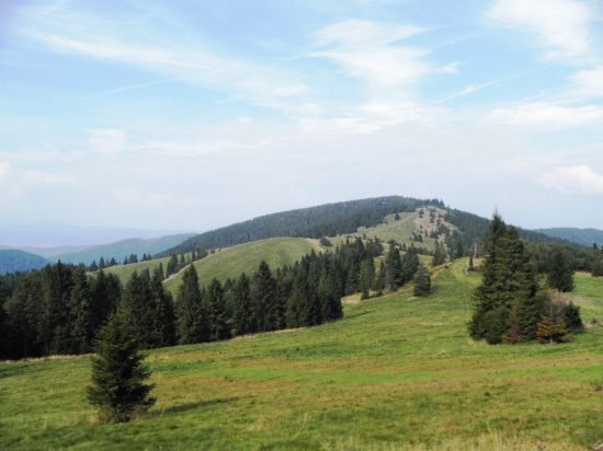 Pod Čiernou horou - pohľad smerom na Repisko