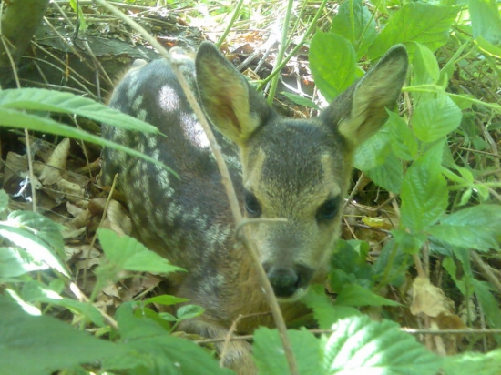 A ty tu čo hľadáš? :D
