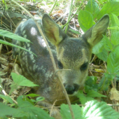 A ty tu čo hľadáš? :D