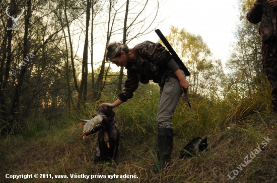 polovačka na kačky