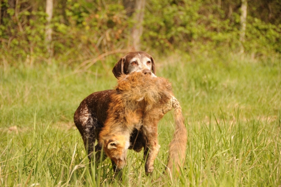 Ono to poteší!!! Ale.....!!!!!