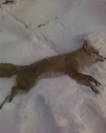 Ešte jedná lepší pohľad