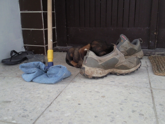 boticka mojho pana je ta naj ;)