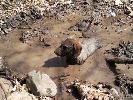 pomooooooooooooc vytiahnite ma :D