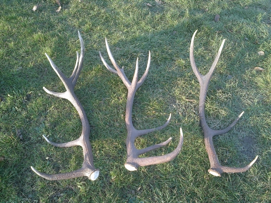 na porovnanie s tych lepsich :)