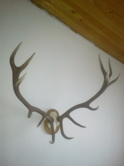 najdene pri ohryze 30m od seba ;)