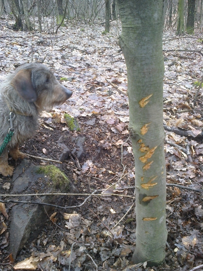 Vyrusili sme kanca pri praci :D