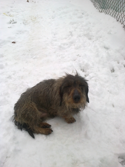 pockaj len zaostrim :D